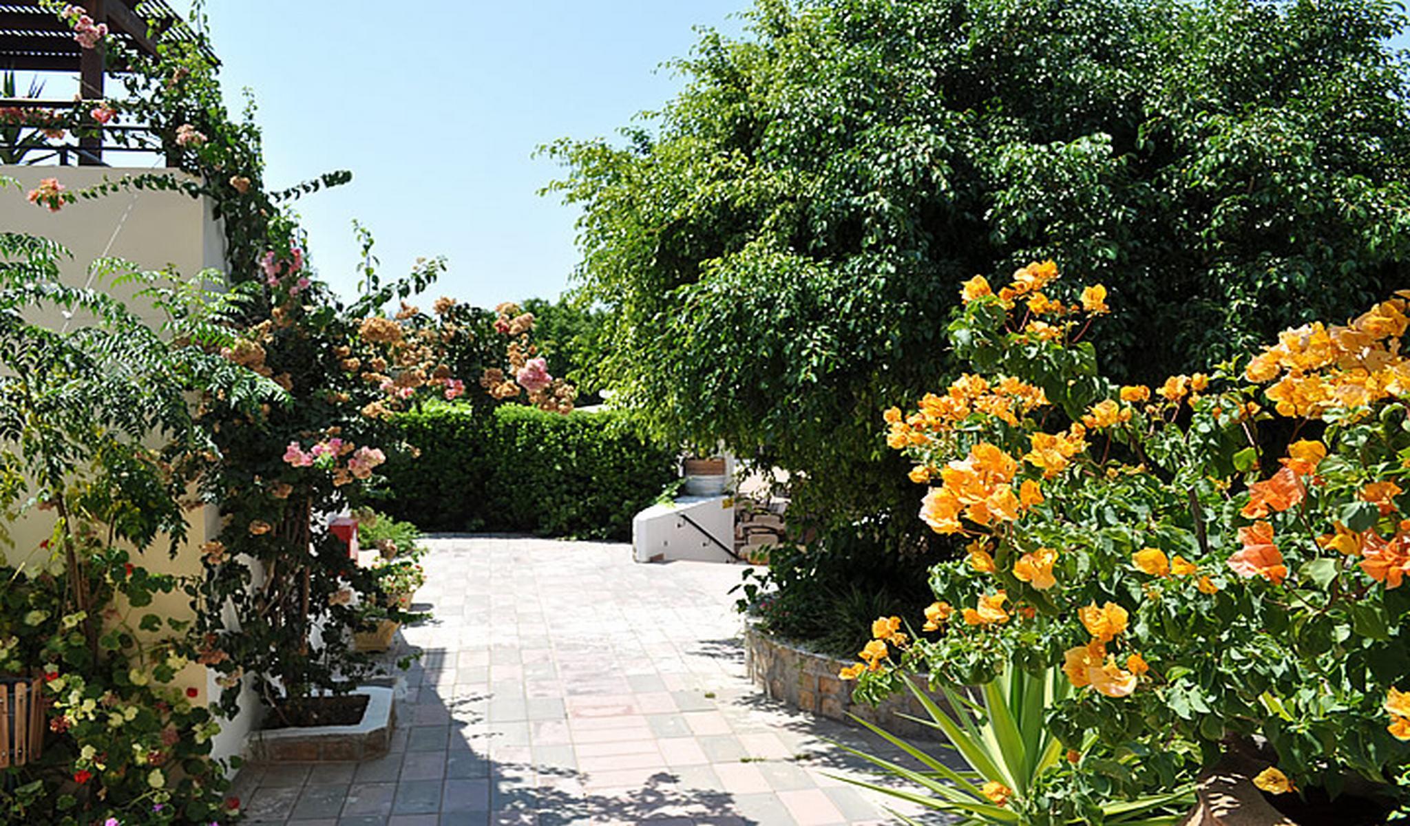 Pefkos Village Resort Pefki エクステリア 写真